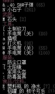 大灾变 CDDA 实用道具详细汇总 涵盖多种类型与功能介绍